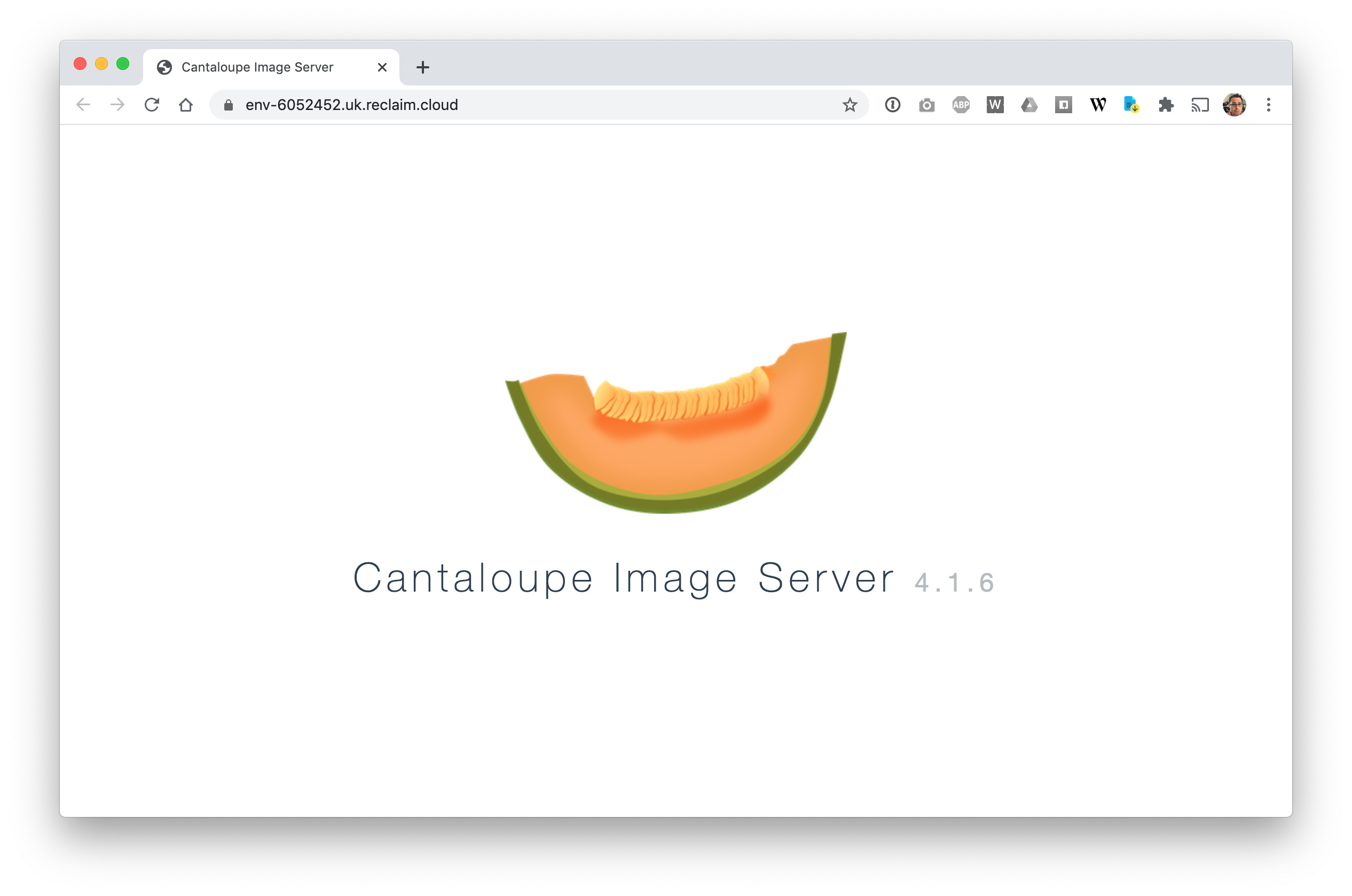 Cantaloupe IIIF Image Server now in Marketplace Cloud Announcements