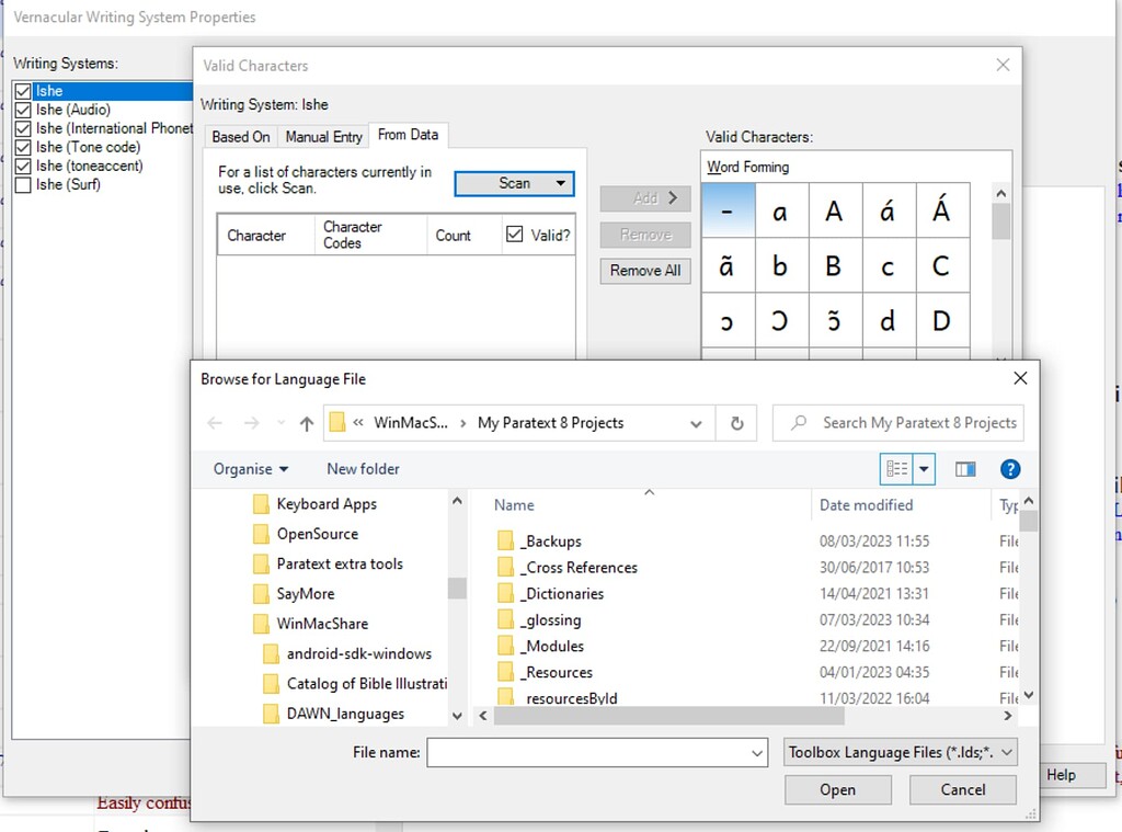 Fieldworks Writing System setup Valid Characters What does 'From