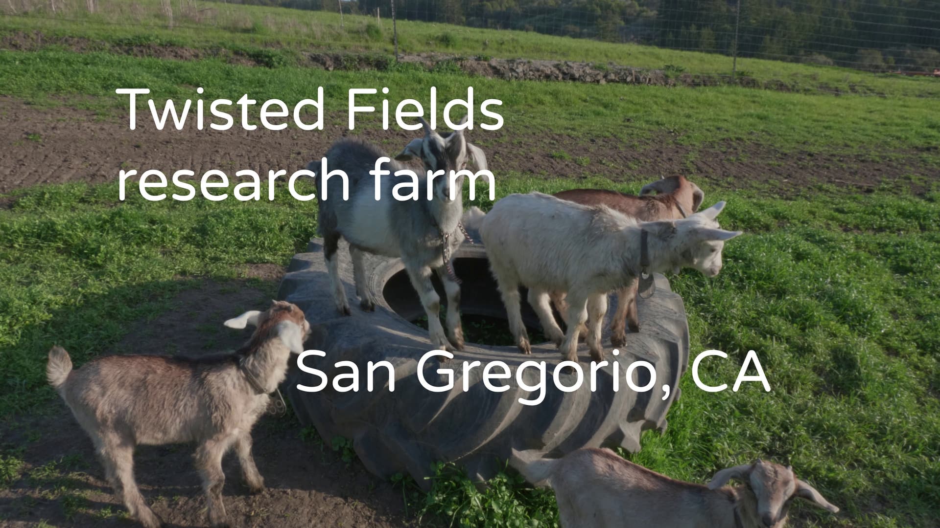 Join the Solar Farming Revolution Support Acorn and Empower Farmers