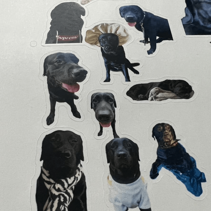 How to Make Stickers with M1 Print & Blade Cut Mode? xTool