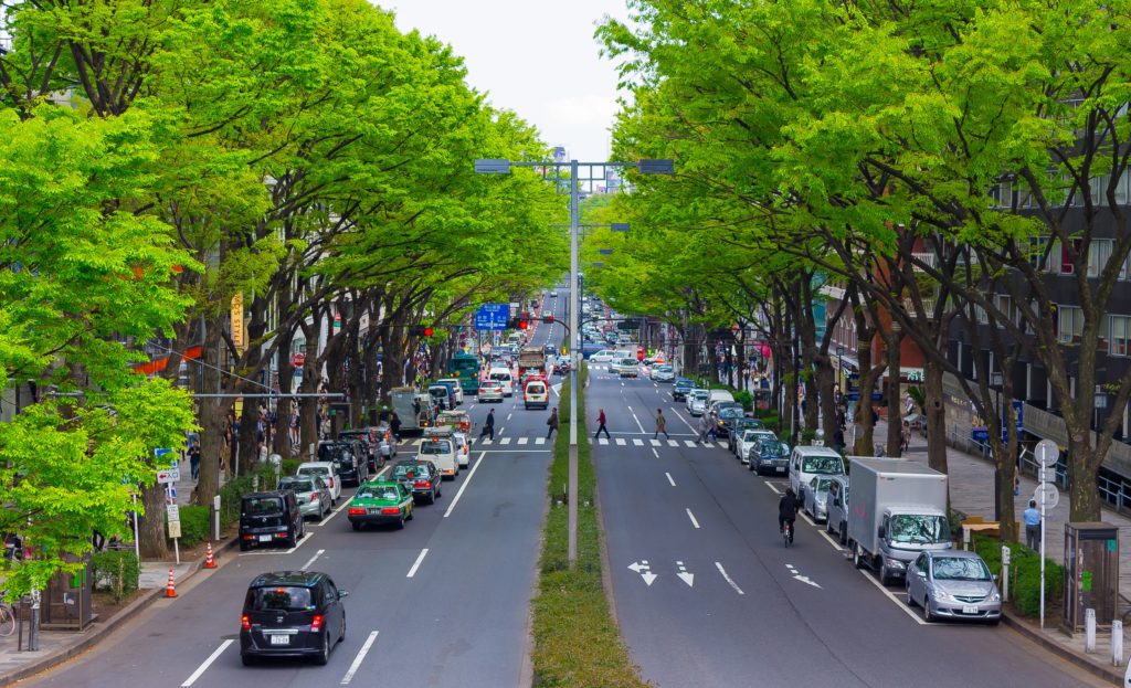 Six Benefits of Urban Forestry Trees Community Greening