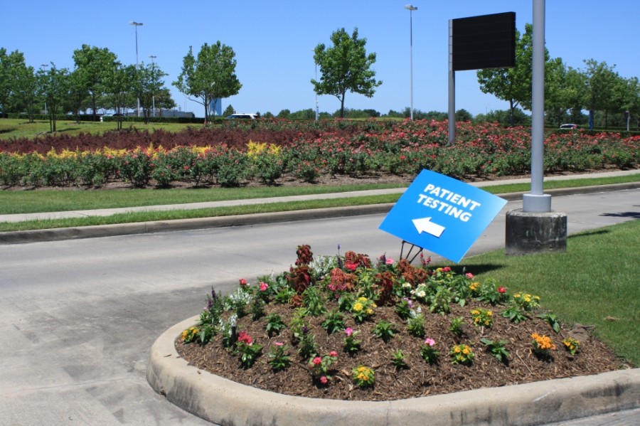 June 3 data Katyarea confirmed COVID19 daily cases grow by 11