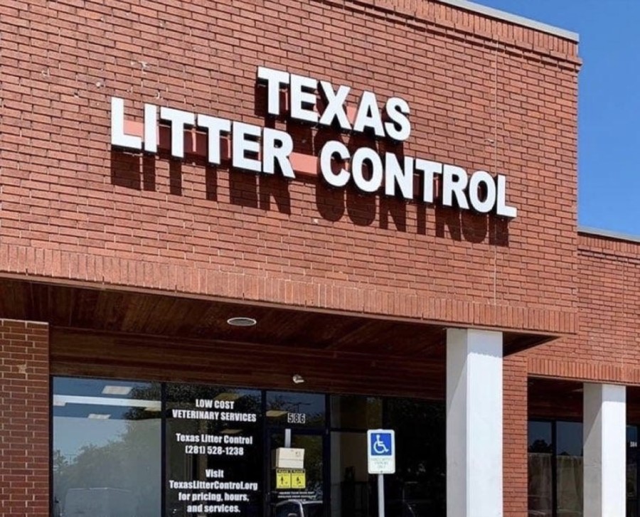 ROUNDUP 5 businesses that are new, coming soon or recently moved in