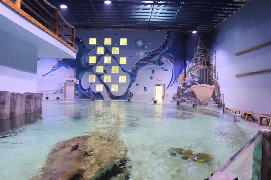 UPDATED Houston Interactive Aquarium & Animal Preserve opening delayed as attraction awaits
