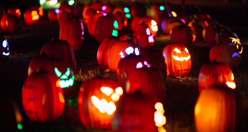 Two Radiance holiday experiences in Frisco Community Impact