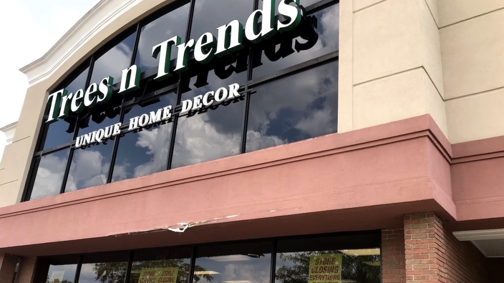 Trees N Trends Near Me