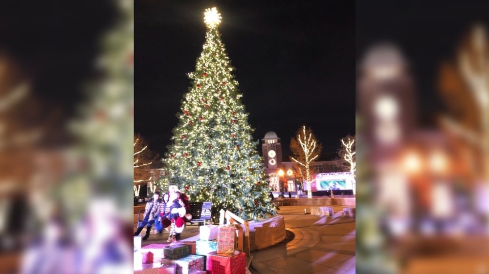 Holly Days Keller 2024 Terza Michal