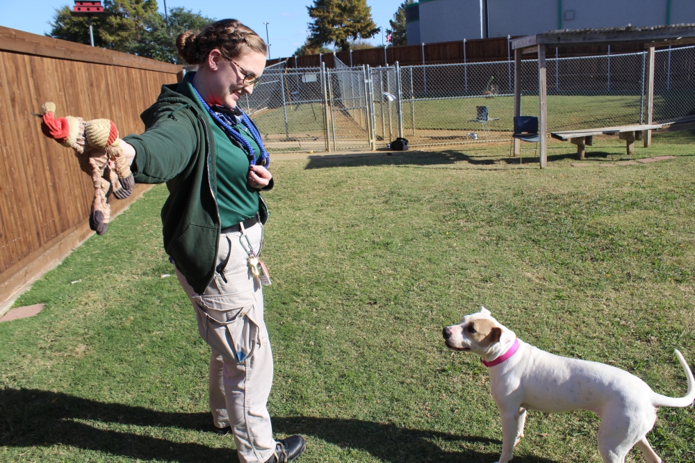 Plano Animal Services Department faces new challenges Community Impact
