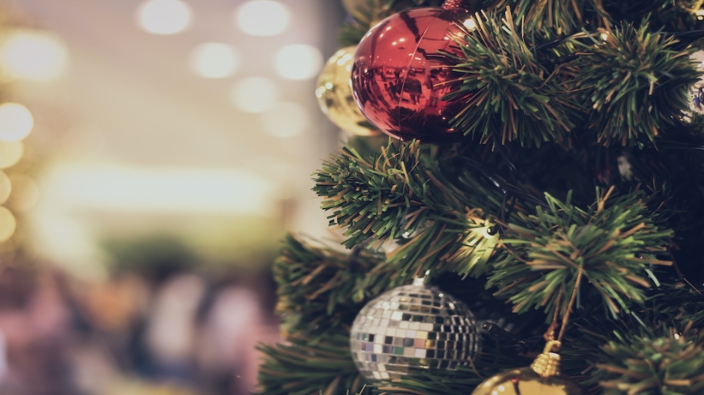 Christmas tree recycling, pet adoption and other things to do in