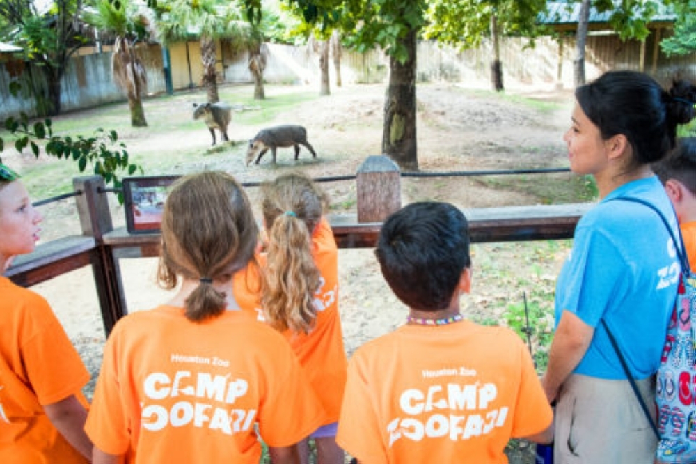 Houston Summer Camps 2023 Updated: 19 Local Camps To Consider This Summer In The Bellaire, Meyerland And West University Areas | Community Impact