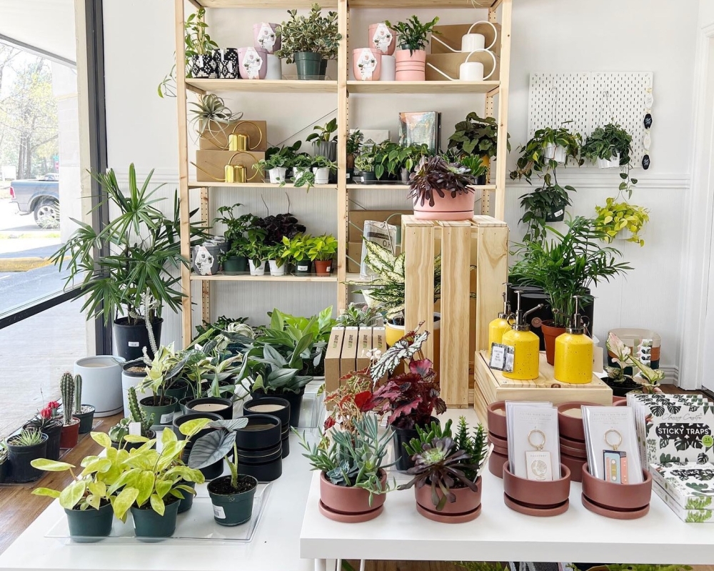 Dote On plant boutique now open in Kingwood Community Impact