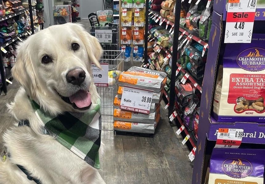 Pet Supplies Plus now open in Kingwood Community Impact