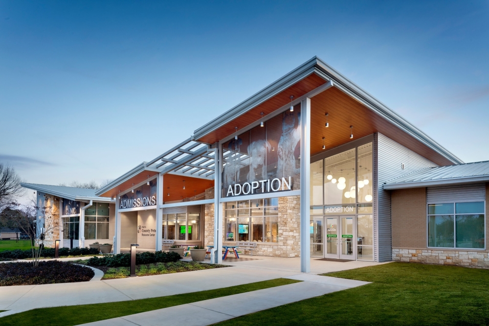 Harris County Pets offering 4 lowcost spay/neuter opportunities for