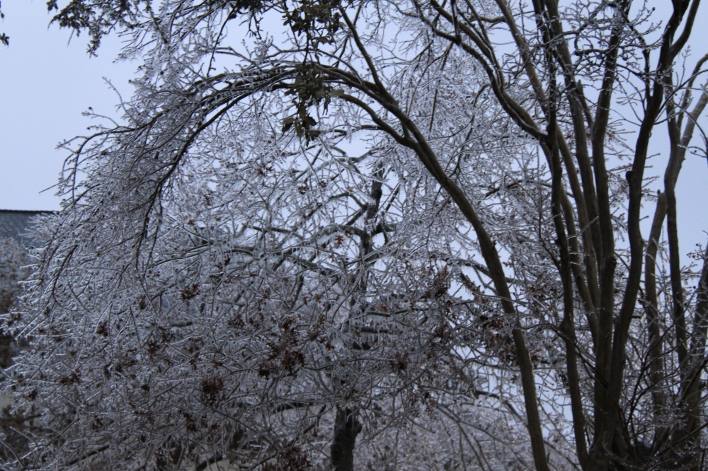 Argyle Town Hall closed through Feb. 2 as winter weather continues in