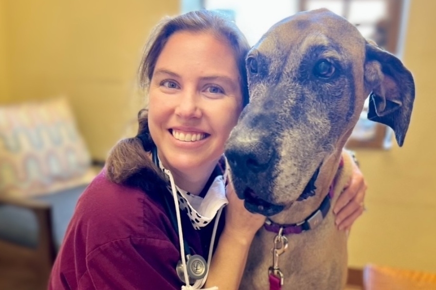 New veterinary hospital open in Hutto Community Impact