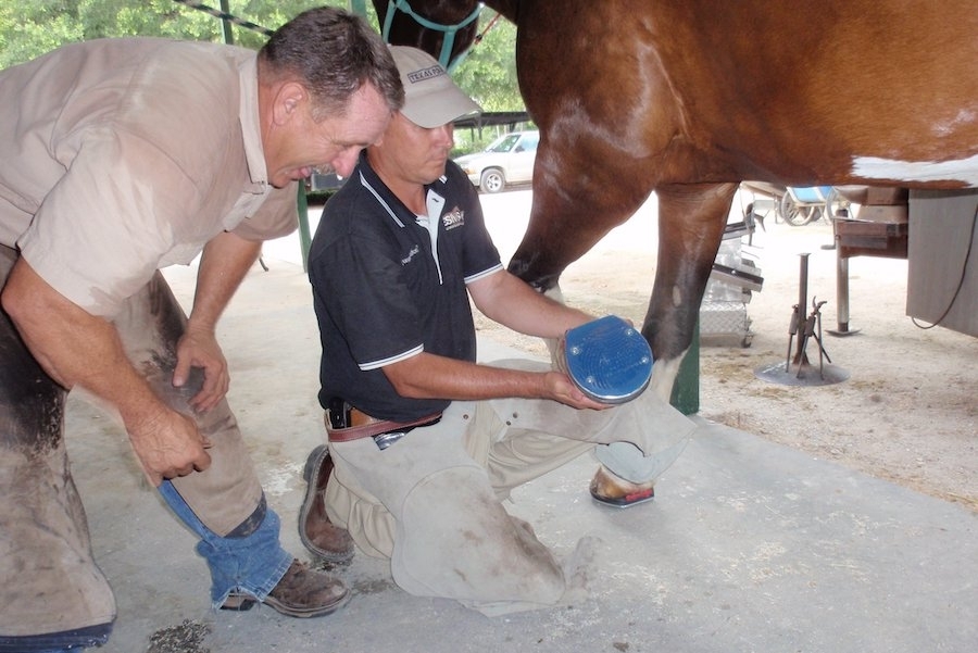Equine Sports Medicine & Surgery now available in Cypress Community