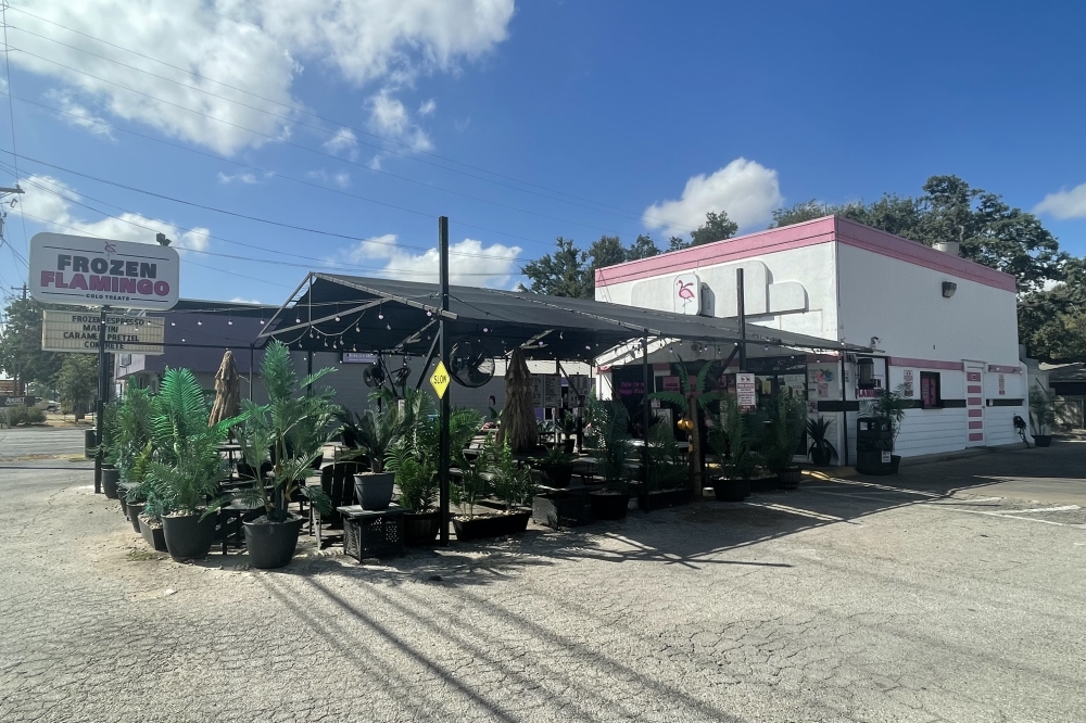 Frozen Flamingo serves sweet treats in Community Impact