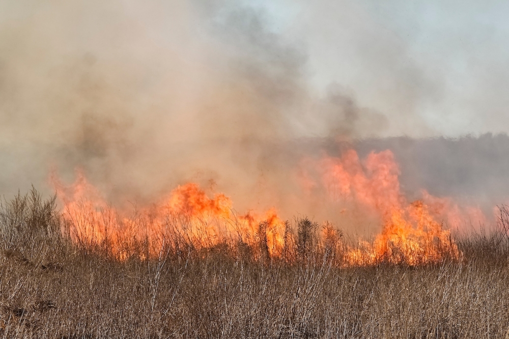 Montgomery County lifts burn ban Sept. 18 after heavy weekend rain