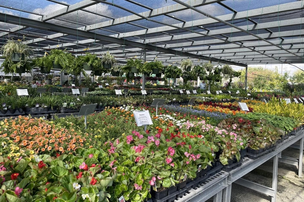 Plants For All Seasons celebrates 50 years in north Houston Community