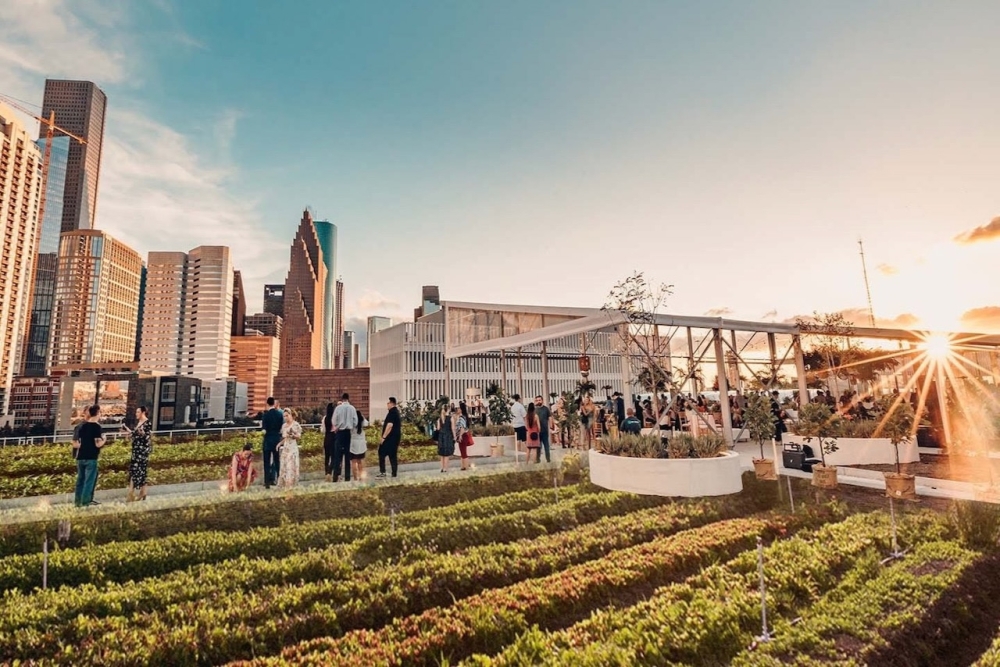 Blackwood Skyfarm to celebrate 2 years as the largest rooftop farm in