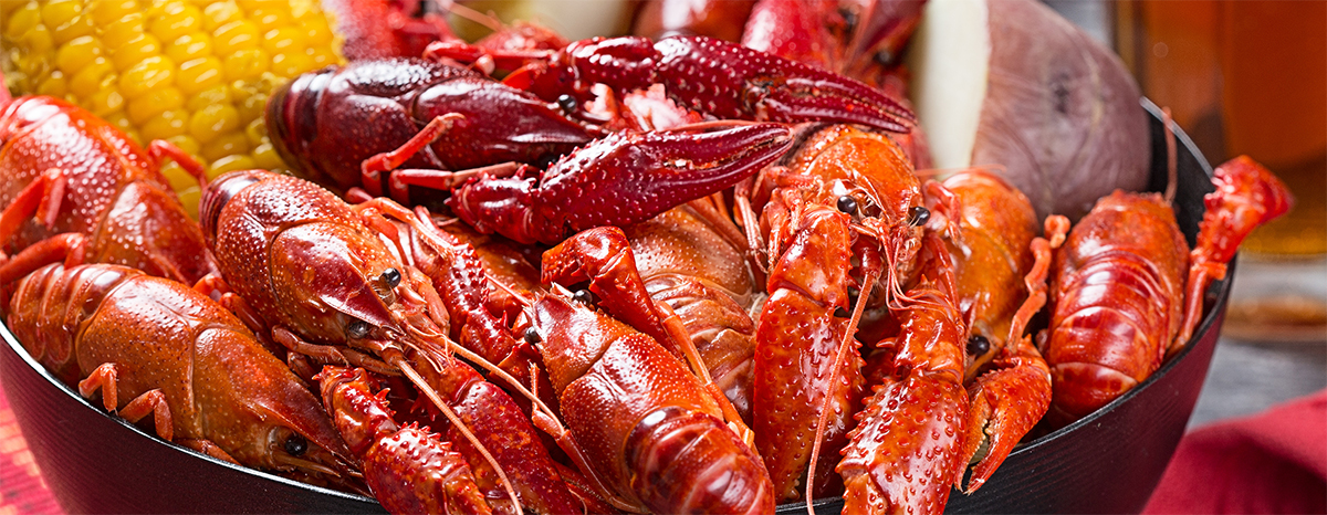 Old Town Spring Crawfish Festival 2023 Crawfish Festival In Old Town Spring And Other Things To Do This Weekend, April 28-30 | Community Impact