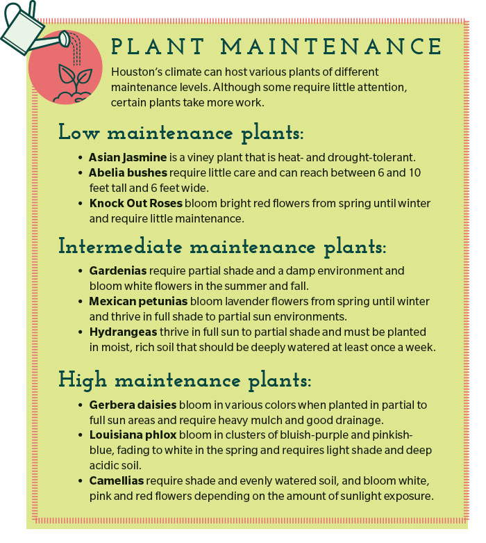 A guide to gardening in The Woodlands Community Impact
