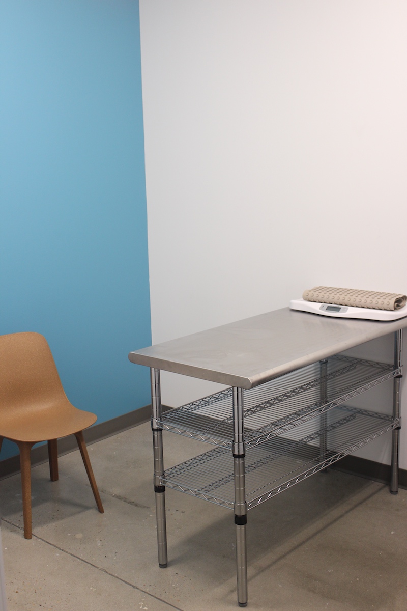 PHOTOS Elected officials, dogs celebrate North's Austin's new low