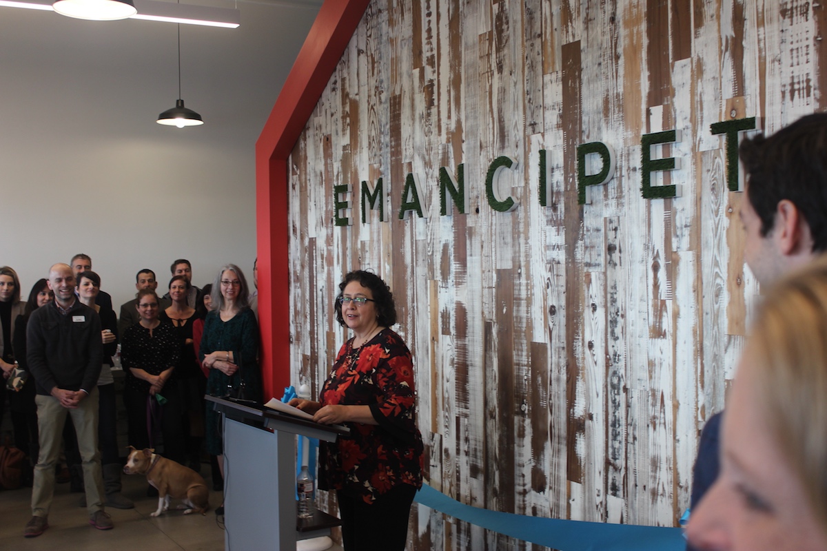 PHOTOS Elected officials, dogs celebrate North's Austin's new low