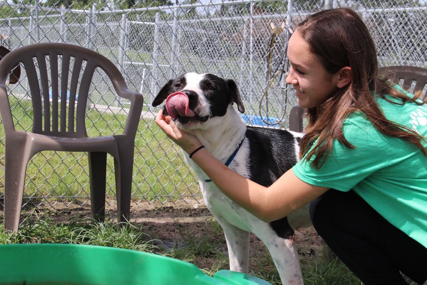 Flower Mound Animal Shelter Volunteer