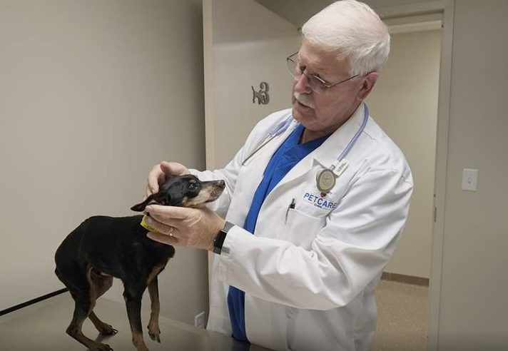 South Toledo pet care clinic aims to ease financial woes