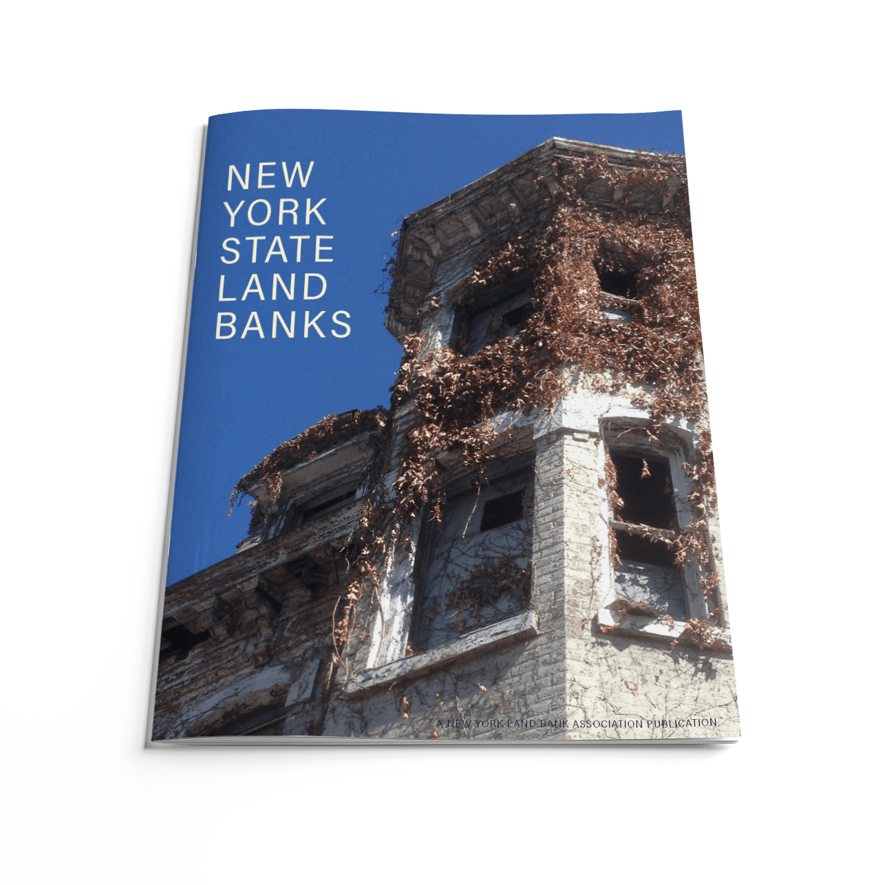 New York State Land Banks Center for Community Progress