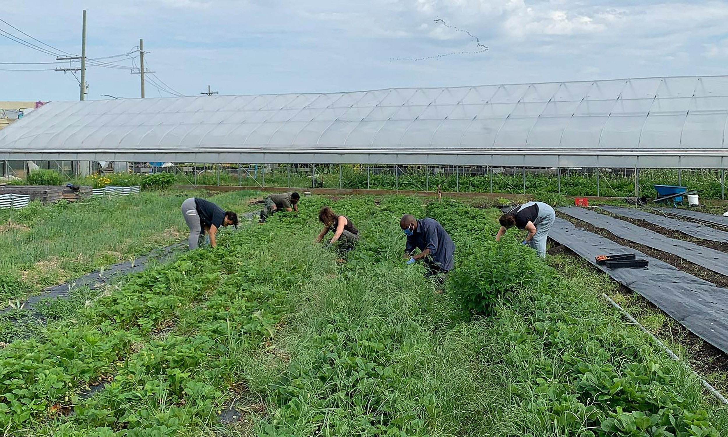 Keep Growing Detroit Farm Vacant Land Project Example Center for