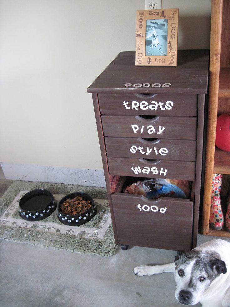 10 rincones espectaculares en casa para tu perro Cómo educar a un cachorro