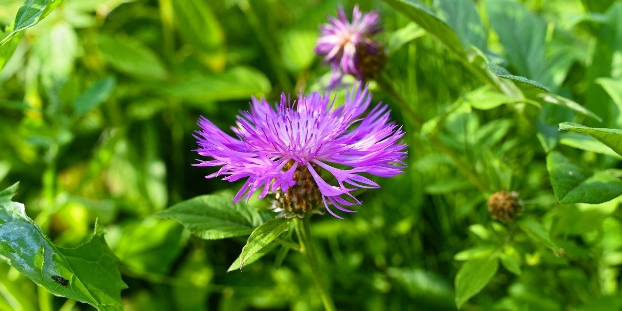 プライバシー ポップ（Privacy Pop）はこもれるアイテム。ひとりの空間を大切にしたいあなたへ。 コモレル