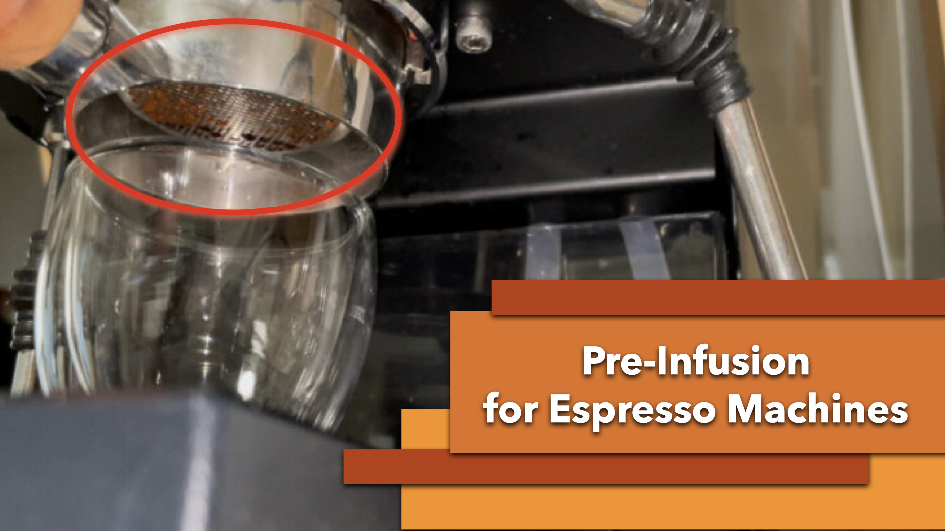 What is Coffee Bean Chaff? Does it matter? Comori Coffee