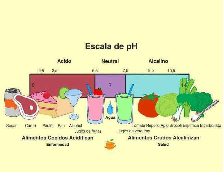 Escala de pH dos alimentos Milenar Construindo um novo Amanhã