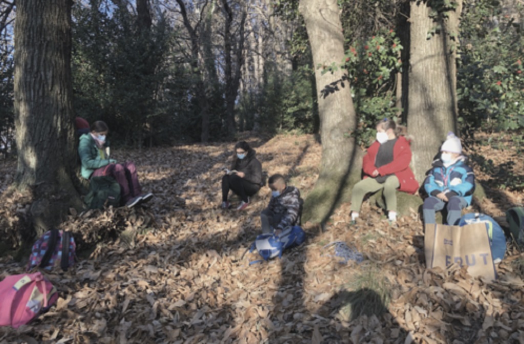 La Scuola Parentale Di Brunate: Quando L'aula È Un Bosco, Un Negozio, La Biblioteca - Comozero 672_x_1024_jpg