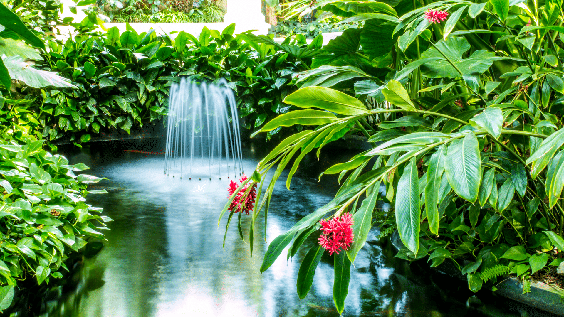 FAQs for your visit to the Zoo & Conservatory Como Zoo Conservatory