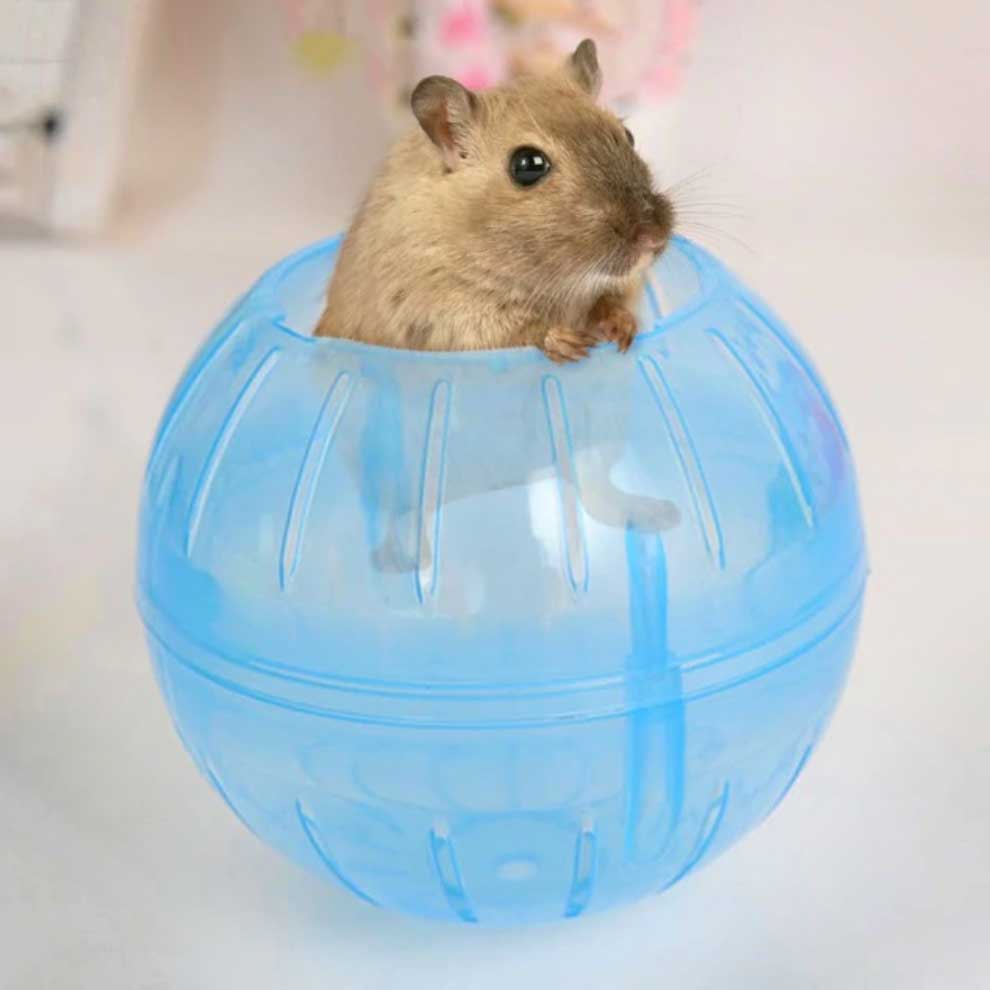 hamsterinball Compact Critters