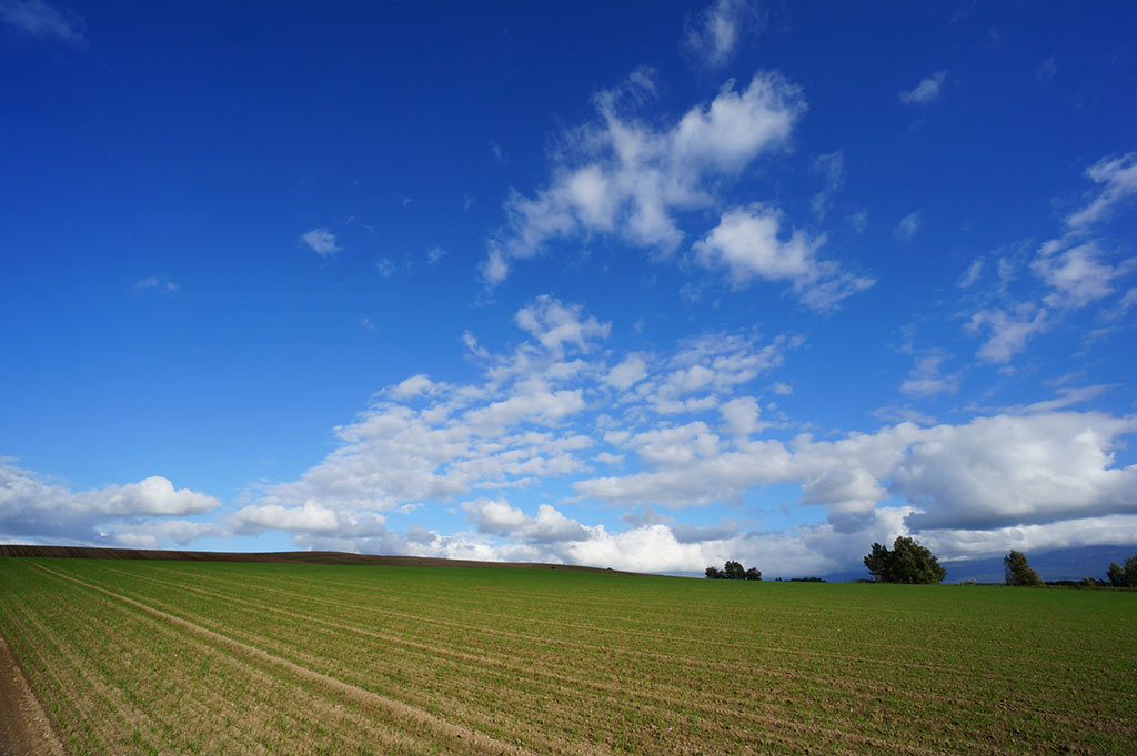 Best Lenses for the Sony a6400 (2022 Guide) Compact Shooter