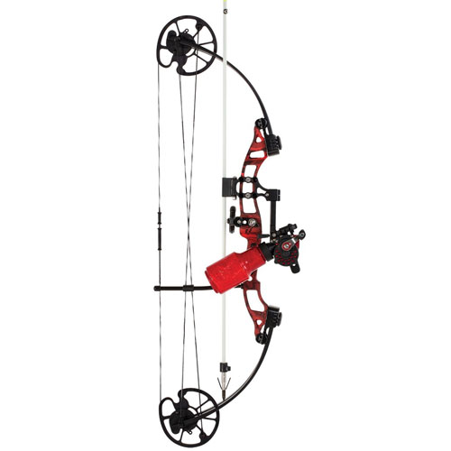 Top 10 Best Bowfishing Bows and Kits in 2024 Reviews Comparabit