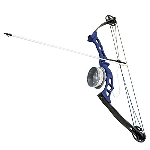 Top 10 Best Bowfishing Bows and Kits in 2024 Reviews Comparabit
