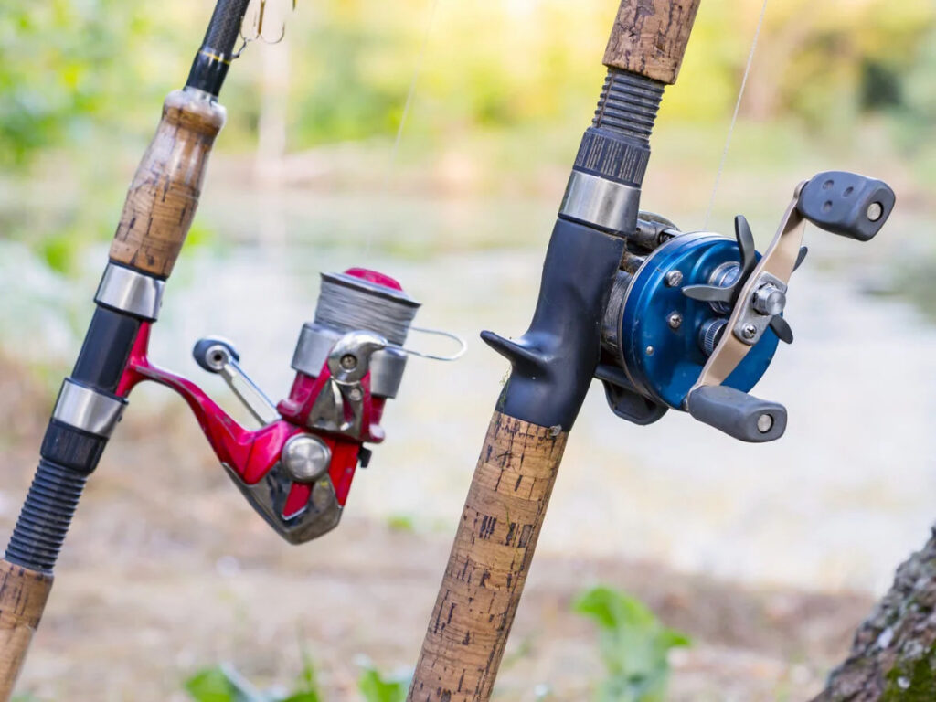 Spinning vs Casting Rods How to Choose the Ideal Fishing Rod Compare