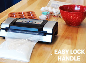 Nesco VS-12 Vs. FoodSaver: Which Vacuum Sealer Is Best?