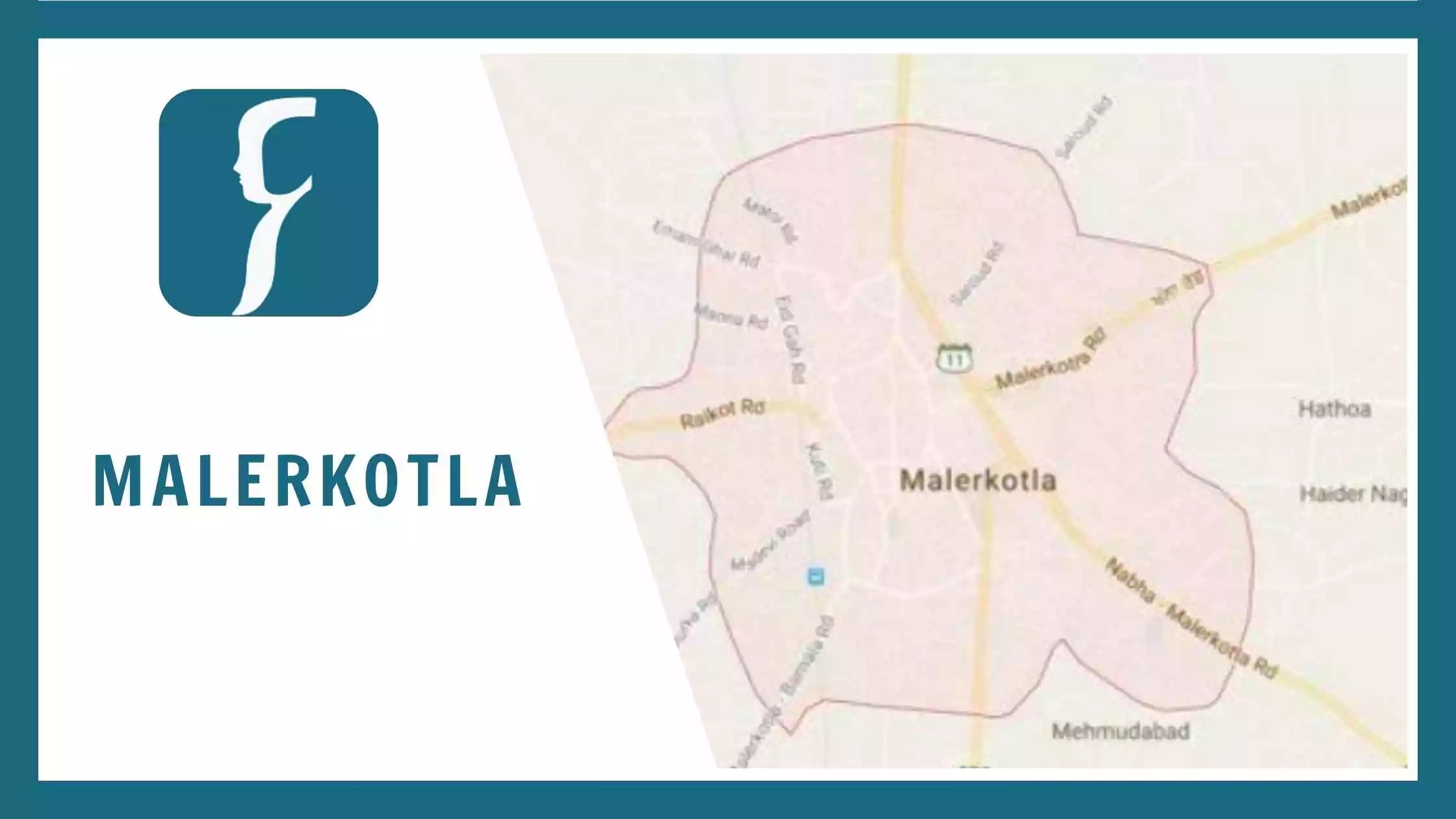 Malerkotla Rau's IAS