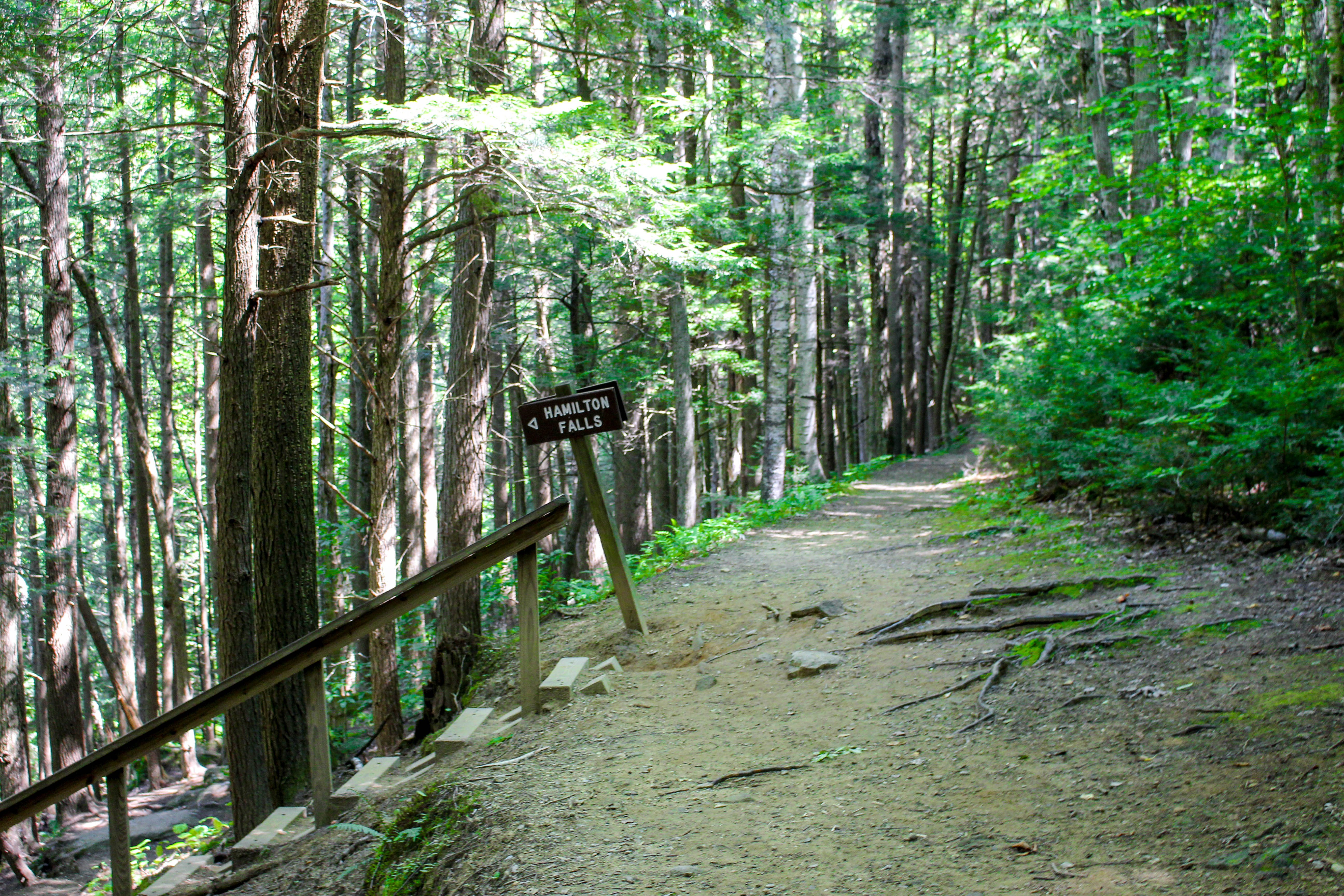 Day Hike at Jamaica State Park, Vermont Compass + Twine