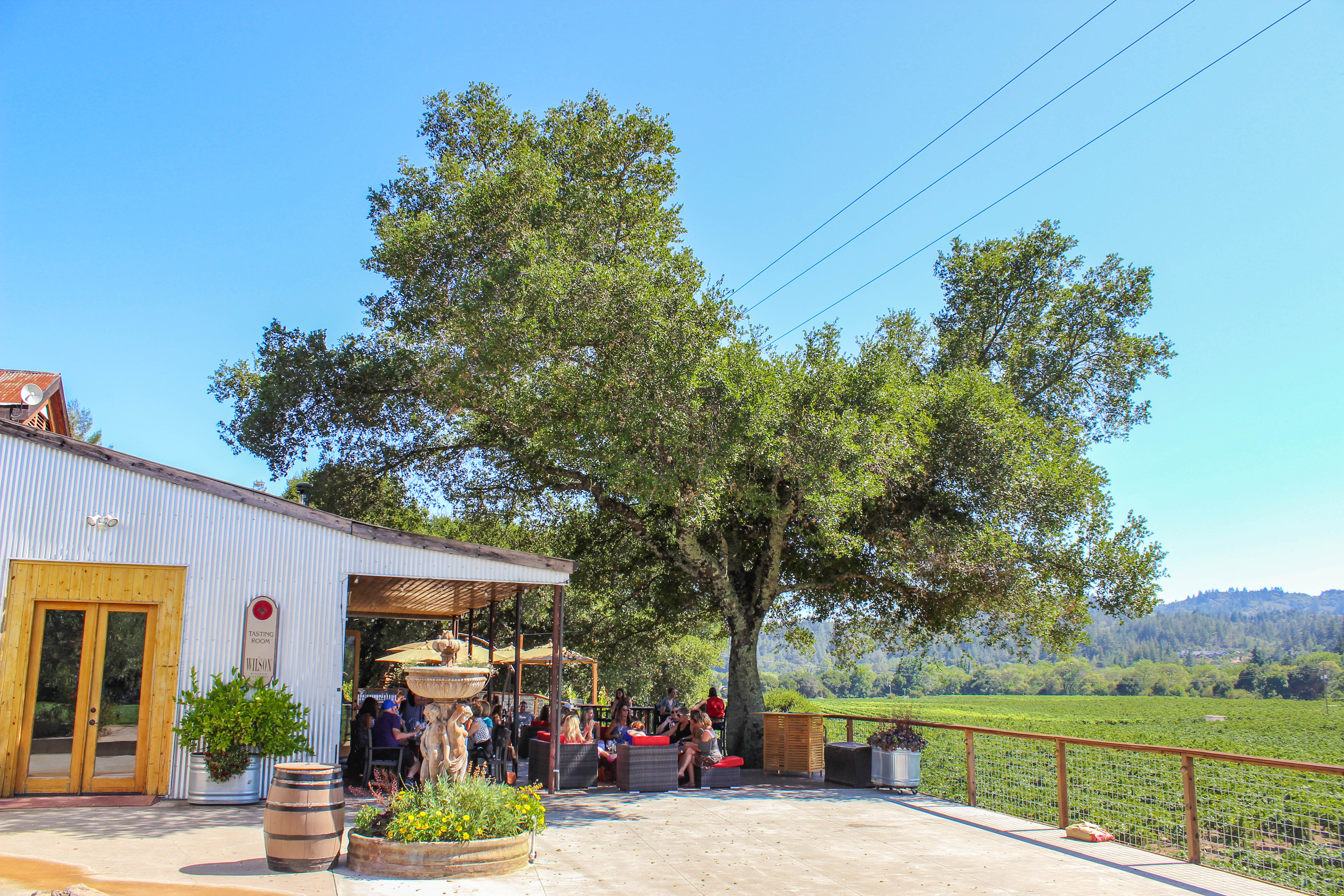 6 Sonoma Wineries You Have To Visit Compass + Twine