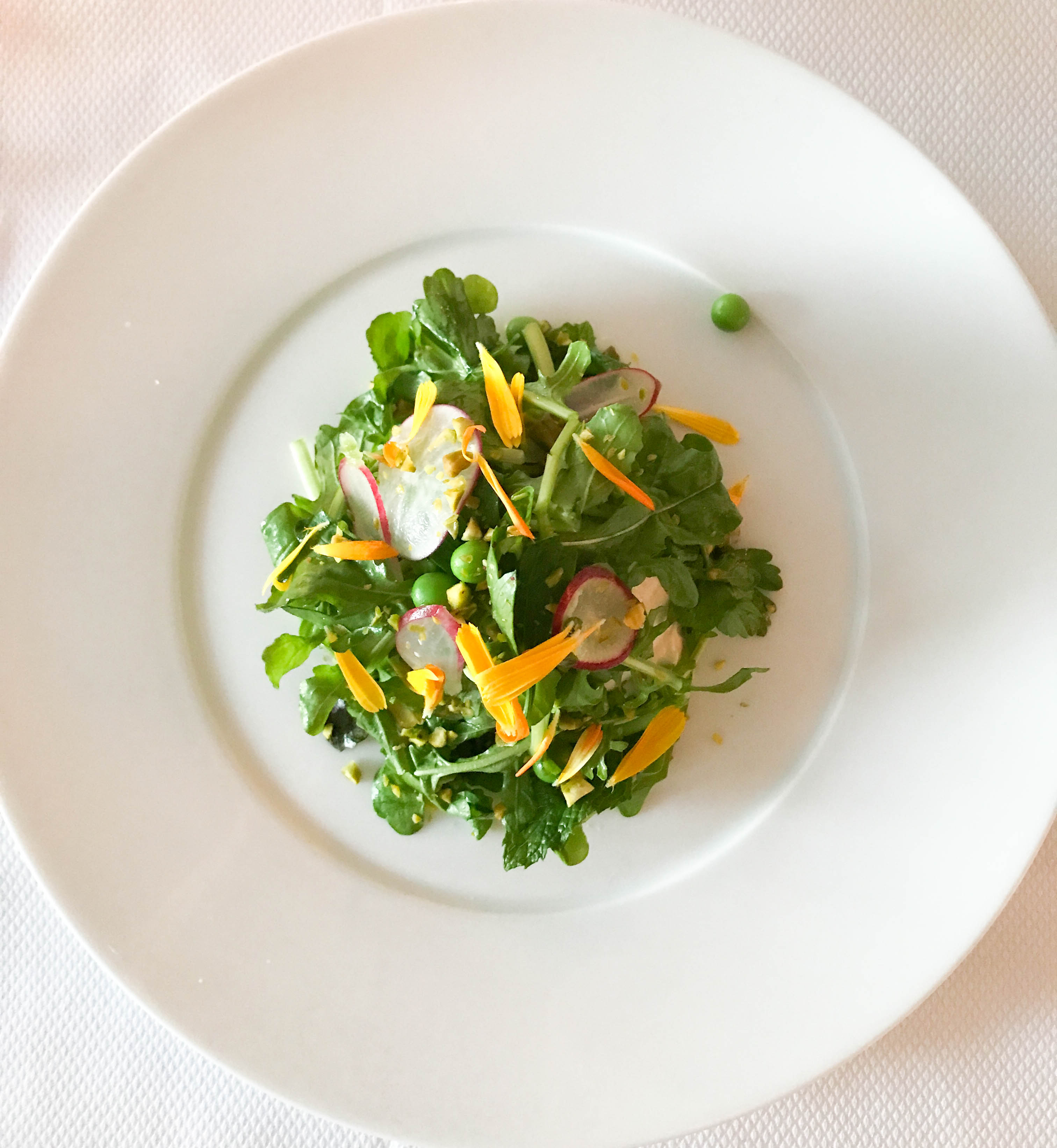 Chatham, MA (Cape Cod) Destination Guide Compass + Twine