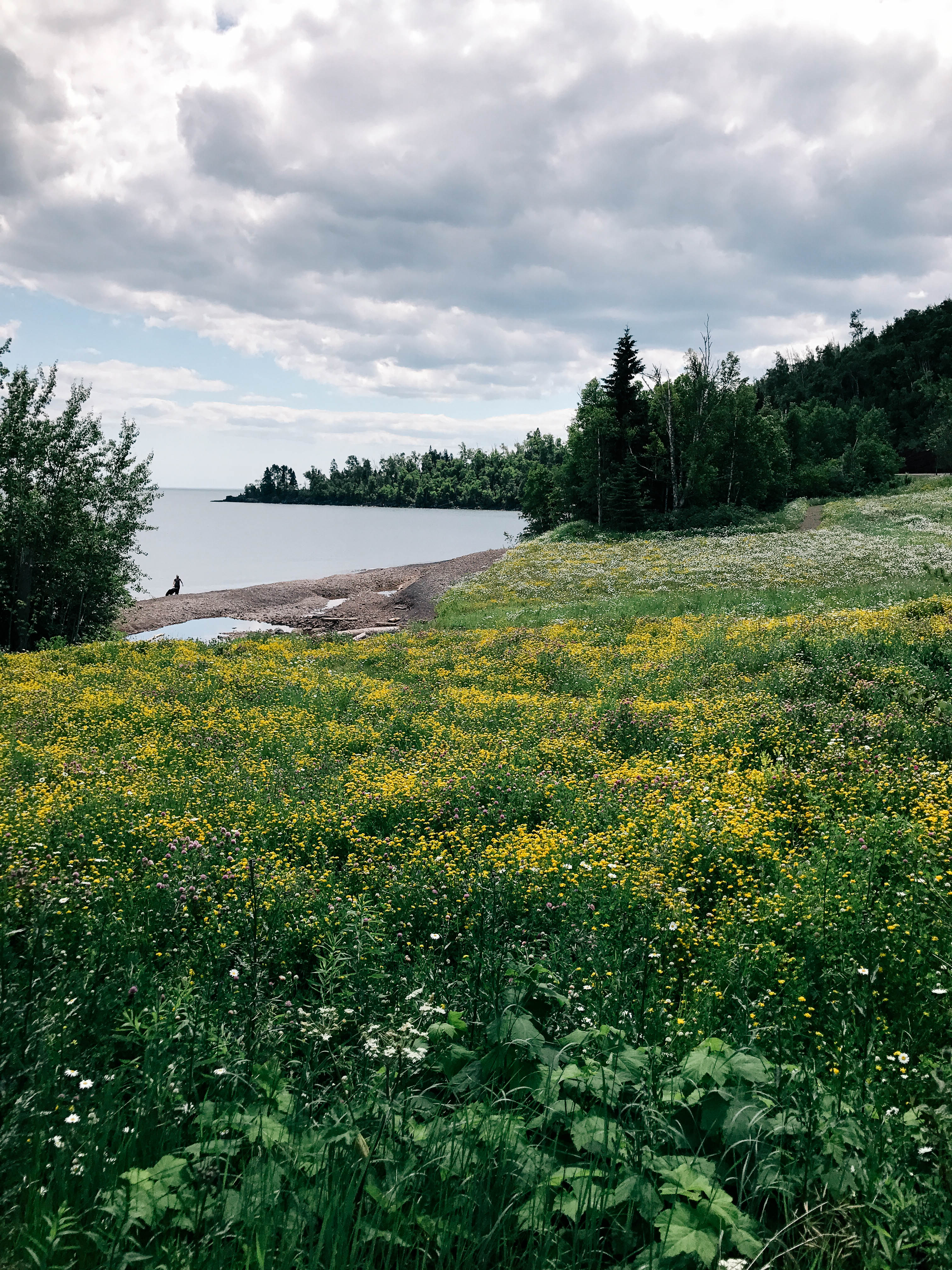 Grand Marais, MN Destination Guide Compass + Twine