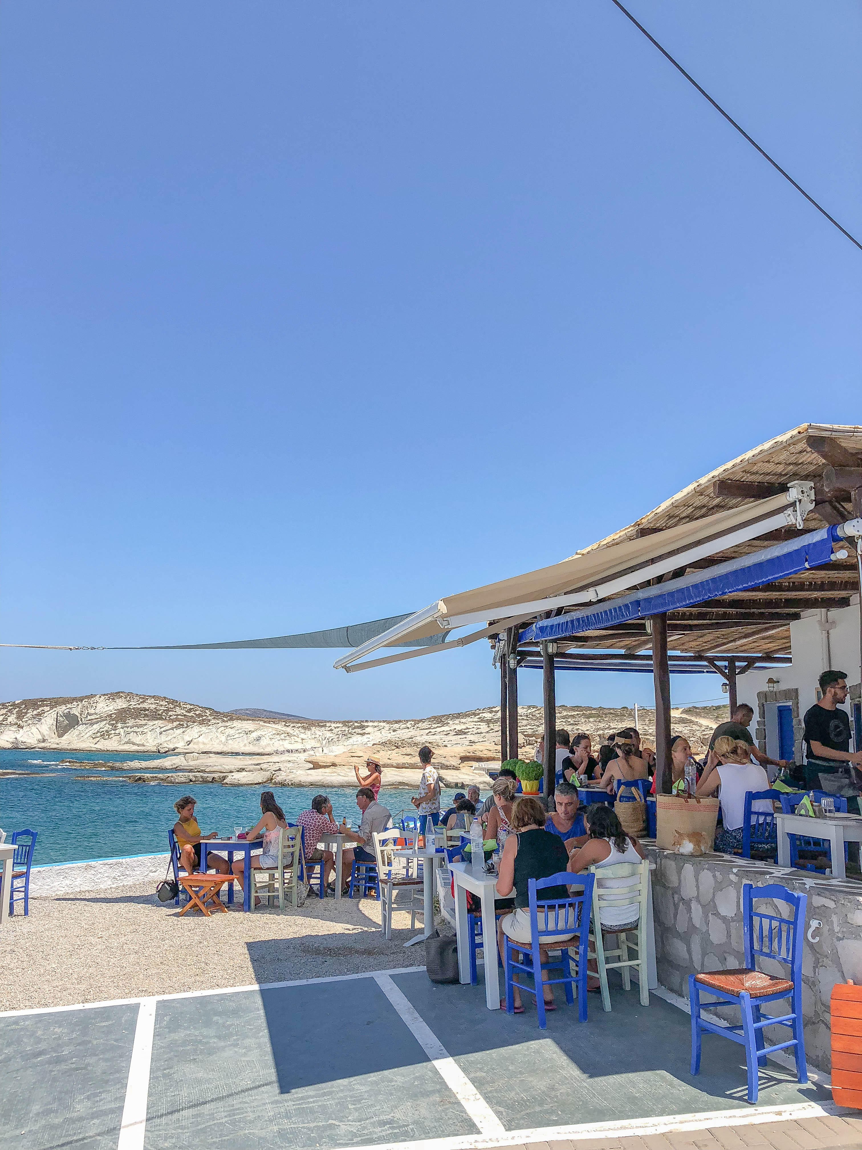 Medusa Restaurant Hanging Octopus and Sea Views at the Best Restaurant